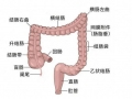 世界肠道健康日：“第二大脑”健康你了解多少