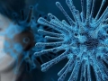 世卫组织：全球新冠感染病例过去一个月增长超50%